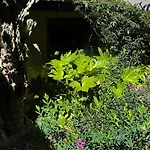 Loquat House By Rentbeat