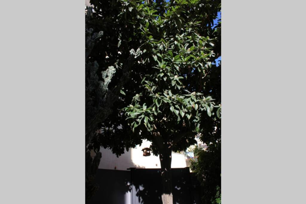 Loquat House By Rentbeat * Rom